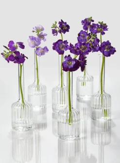 6.5in Tall Optical Glass Cylinder Bud Vase, Set of 6