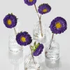 4in Tall Optical Glass Cylinder Bud Vase, Set of 4