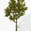 47in Tall Orange Tree