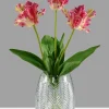 9in Tall Palm Etched Glass Balloon Vase