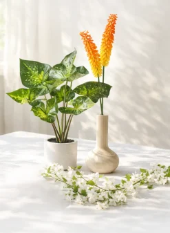 12in Tall Paulownia Wood Bottle Vase, Set of 2