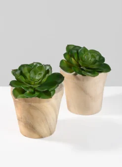 4.5in Tall Paulownia Wood Pot, Set of 2