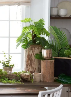4.5in Tall Paulownia Wood Pot, Set of 2