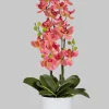 26in Tall Pink Orchid In Pot