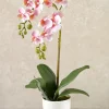 16in Tall Pink Phalaenopsis Orchid Potted Plant, Case of 12