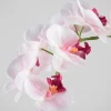 19in Tall Real Touch Blooming Orchid Phalaenopsis in Decorative Ceramic Pot