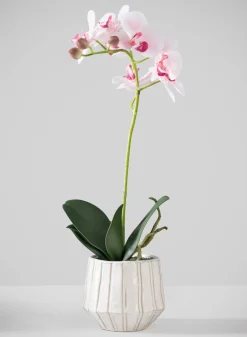 19in Tall Real Touch Blooming Orchid Phalaenopsis in Decorative Ceramic Pot