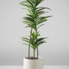 32in Tall Real Touch Dracaena Plant In a White Pot