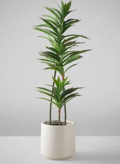 32in Tall Real Touch Dracaena Plant In a White Pot