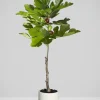 36in Tall Real Touch Real Look Fig Tree in Cement Pot