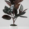 26in Tall Real Touch Real Look Rubber Tree in Ceramic Pot