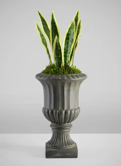27in Tall Real Touch Real Look Snake Plant in Pot