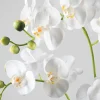 23in Tall Real Touch 3 Stem Blooming Orchid Phalaenopsis in Decorative Ceramic Pot