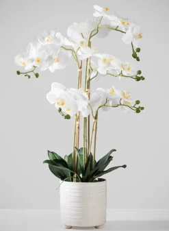 31in Tall Real Touch 5 Stem Blooming Orchid Phalaenopsis in Decorative Ceramic Pot