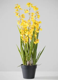 32in Tall Real Touch 6 Stem Giant Orchid Oncidium in Pot