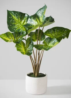 22in Tall Real Touch 9 Stem Green Caladium in White Cement Pot