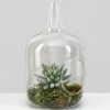 10.75in Tall Rio Bottle Glass Terrarium, Large