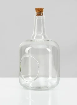 7.5in Tall Rio Bottle Glass Terrarium, Small