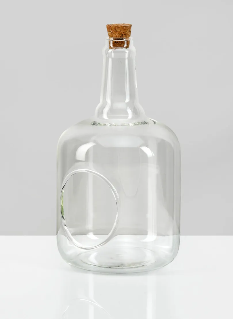 7.5in Tall Rio Bottle Glass Terrarium, Small