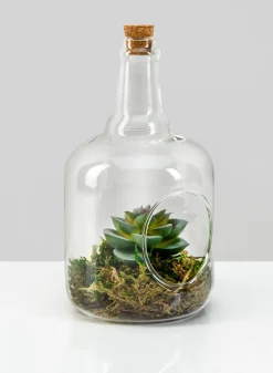7.5in Tall Rio Bottle Glass Terrarium, Small
