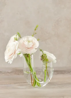 6.5in Tall Serpent Glass Vase