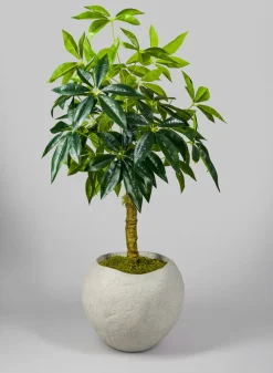 13in Tall Shirak Poly-Stone Sand Beige Planter