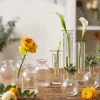 4 1/2in Tall Short Bottle Bud Glass Vase, Set of 4