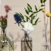 5.25in Tall Smoke Medicine Bottle Glass Bud Vase, Set of 6