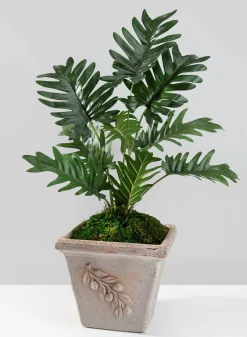7.75in Tall Square Quadra Olive Pot