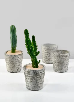 3in Tall Stone Wall Aged Planter, Set of 4