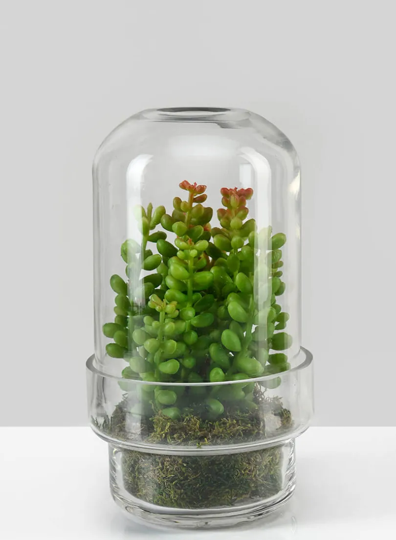 6.25in Tall Swazi Glass Terrarium, Small