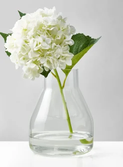 9.5in Tall Terrarium Glass Vase