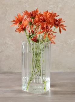 8in Tall Vendome Rounded Square Ribbed Glass Vase