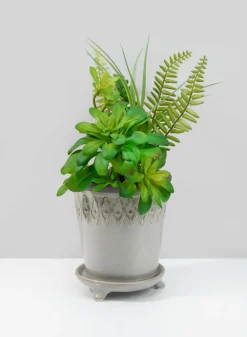 6in Tall Veracruz Aztec Ceramic Pot with Saucer