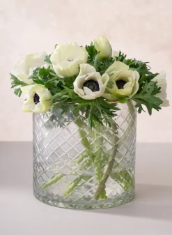 5.5in Tall Versailles Cut Work Gold Rim Glass Cylinder