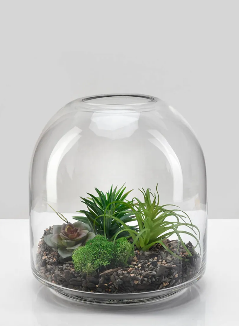 7.75in Tall Victoria Glass Terrarium, Small