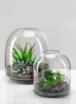 7.75in Tall Victoria Glass Terrarium, Small