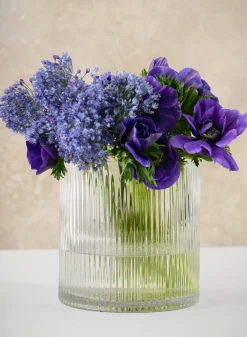 6in Tall Vienna Pleated Glass Cylinder