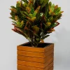 12in Tall Vuong Acacia Wood Planter