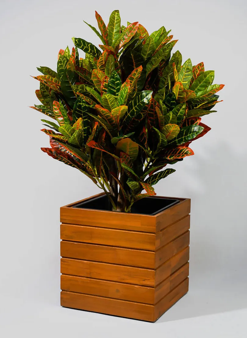 12in Tall Vuong Acacia Wood Planter