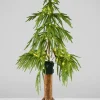 32in Tall Warm White Pre-Lit Christmas Tree (80 Lights)