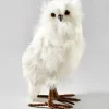 10in Tall White Owl