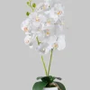 27in Tall White Phalaenopsis Orchid In Pot