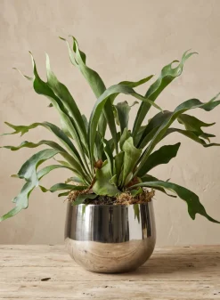 7in Tall Wide Araami Nickel Silver Aluminum Bowl
