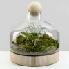 12in Tall Wide Copacabana Glass Terrarium, Large