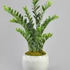 42in Tall Zanzibar Plant