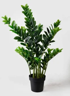 42in Tall Zanzibar Plant