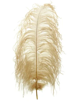 18 - 20in Tan Ostrich Feather