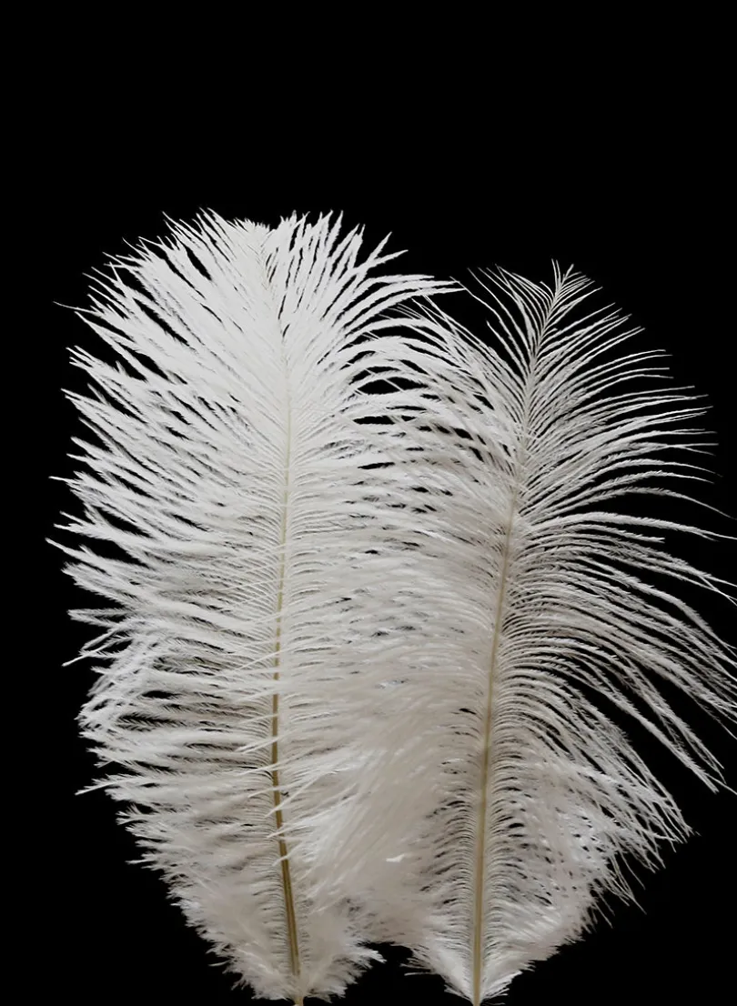 6 - 8in White Mini Ostrich Feather, Set of 2