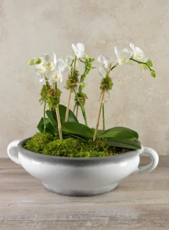 15in Wide Andra Ceramic White Glazed Bowl